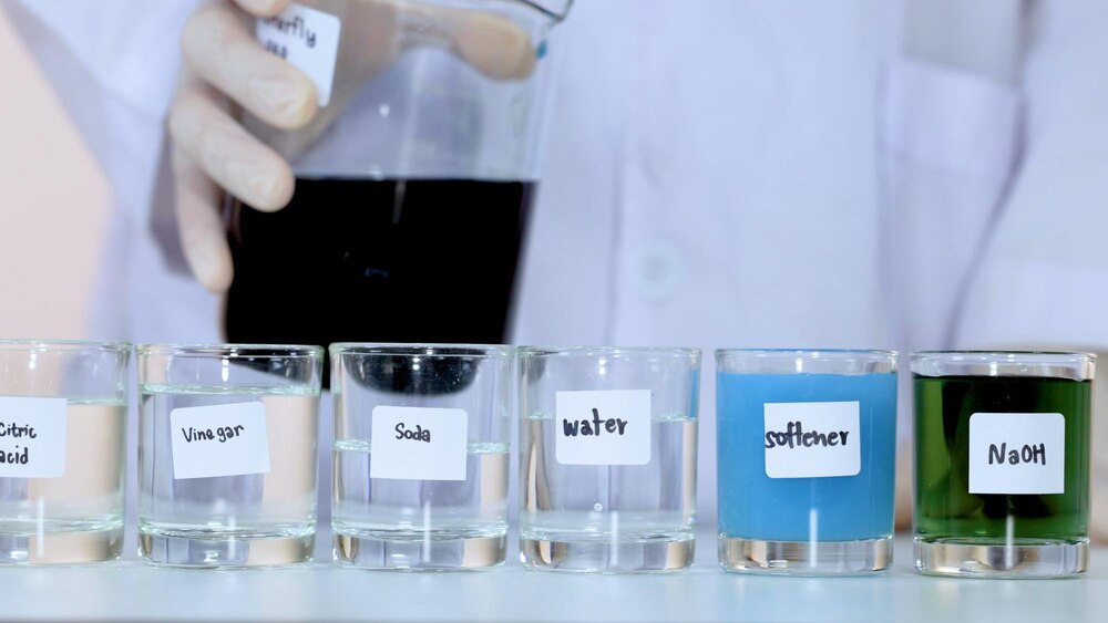 Butterfly Pea Flower pH Indicator Experiment with Various Chemical Solutions in Beakers
